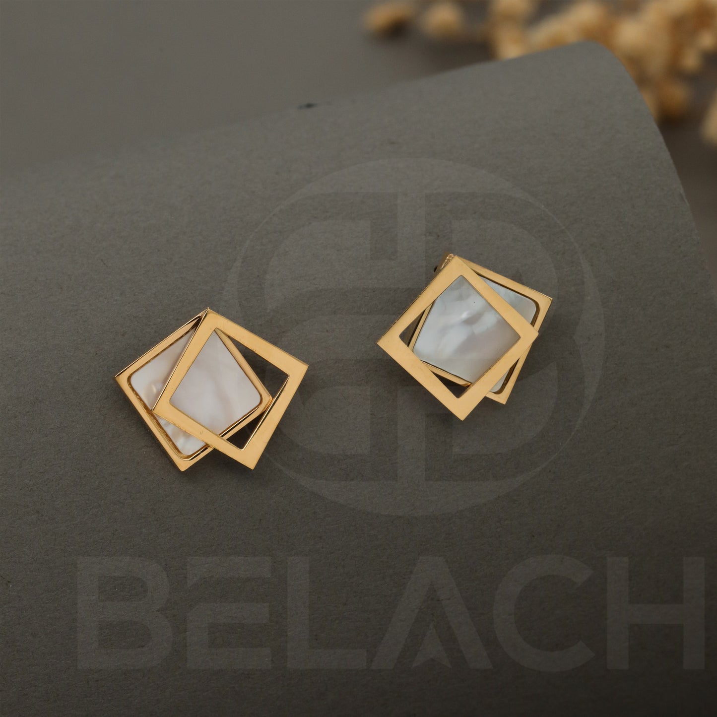 Gold Plated Luxuries Earrings GPER016