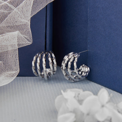 Silver Plated Luxuries Earrings GPER045